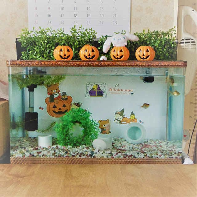 acoさんの実例写真