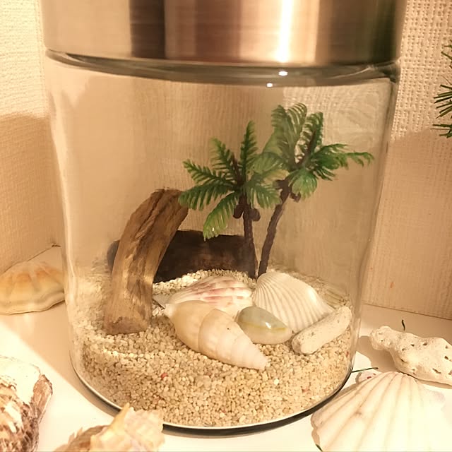 Mayuchiさんの実例写真
