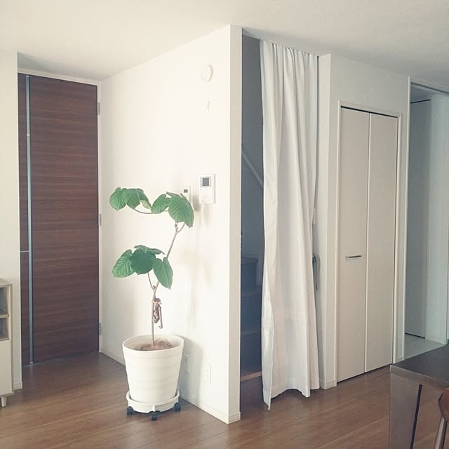 tan5さんの実例写真