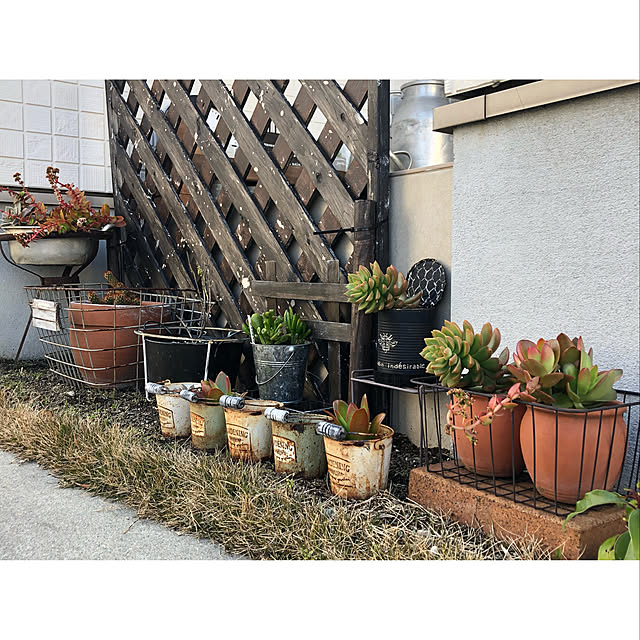 nono.0129さんの実例写真