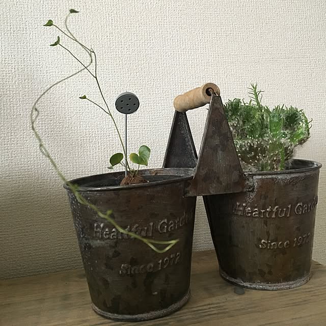 tetra163さんの実例写真