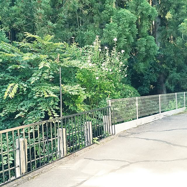 hana.1321jpさんの実例写真