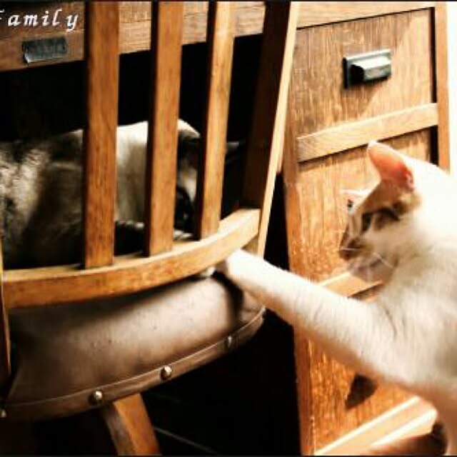 genさんの実例写真