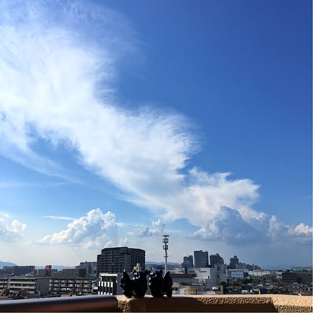 simple_blowbackさんの実例写真