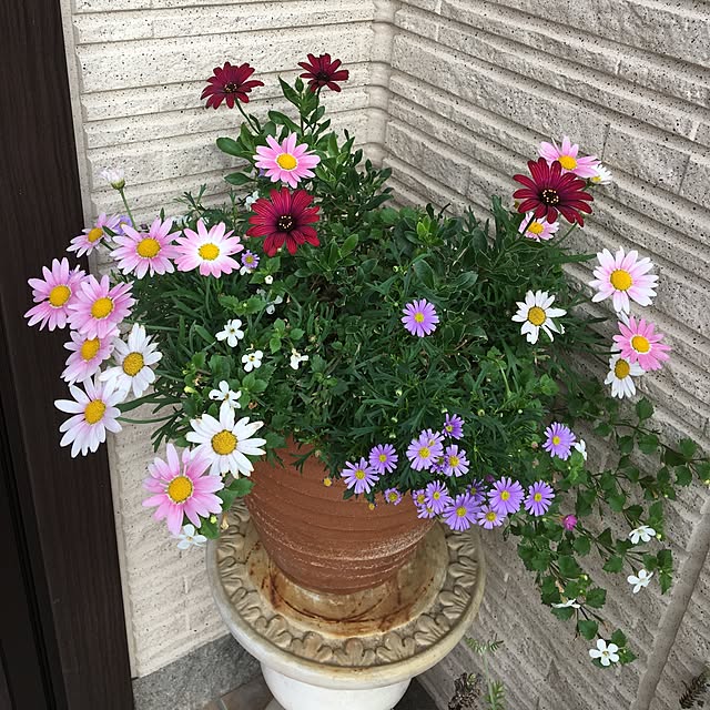 sanw2225719さんの実例写真