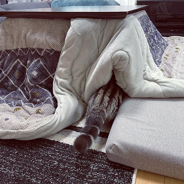 chiiさんの部屋