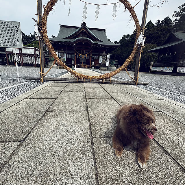 RYOさんの部屋