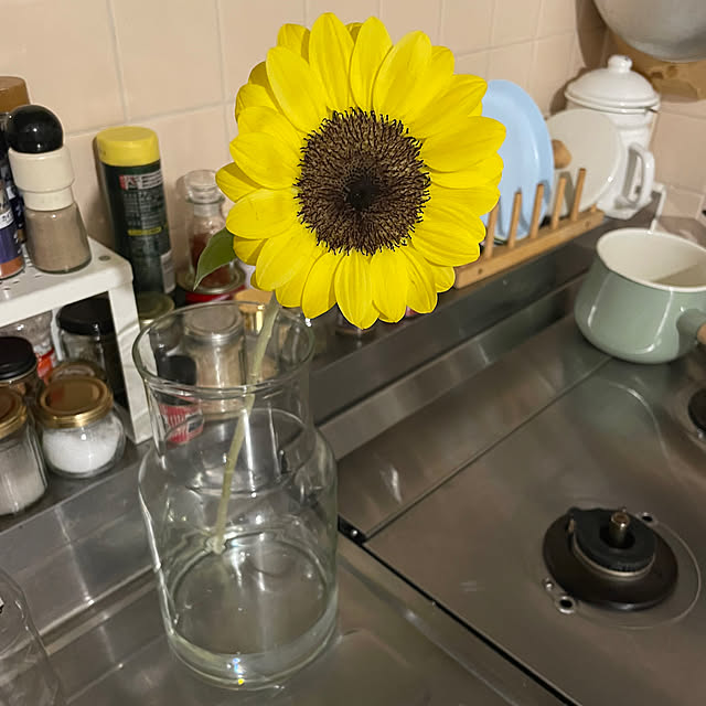 arsroさんの実例写真