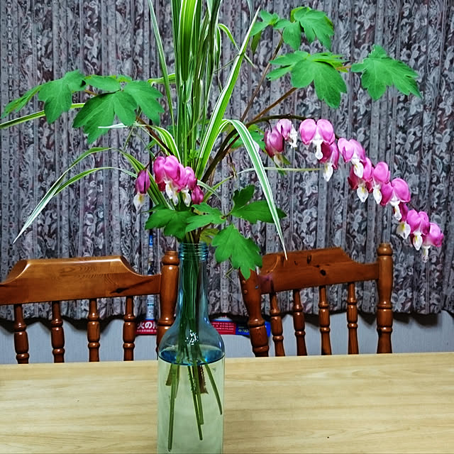 観葉植物/部屋全体のインテリア実例 - 2020-01-17 20:25:42