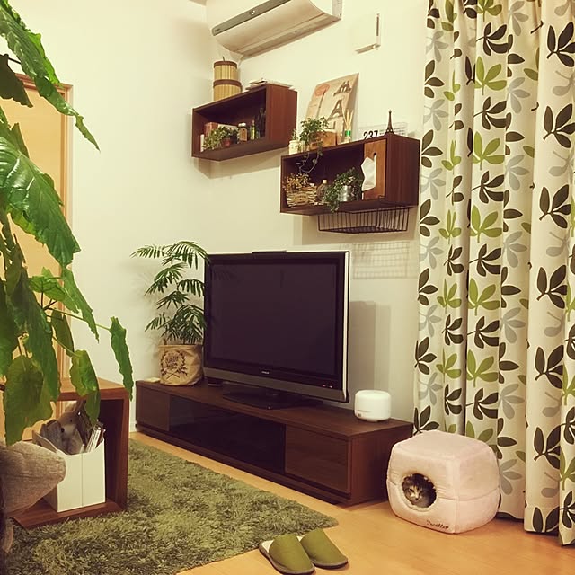 56chanさんの実例写真