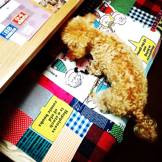 pinocさんの実例写真
