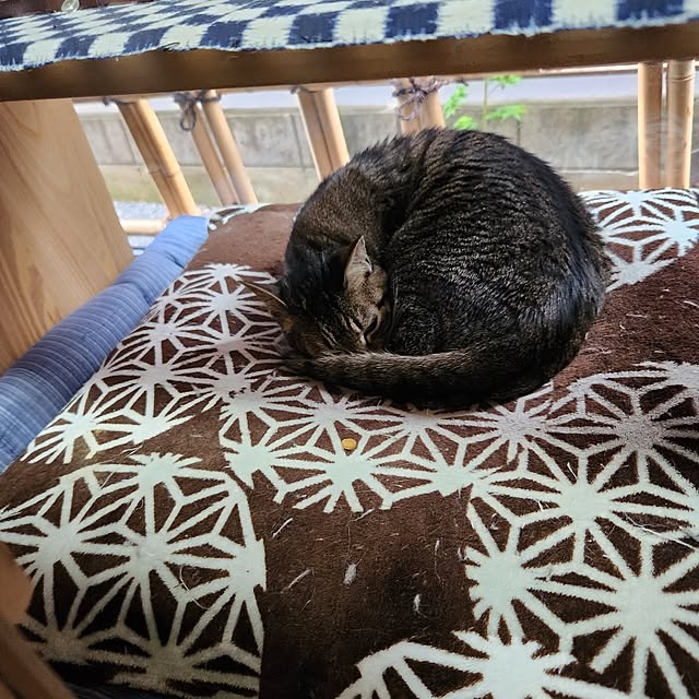 taroさんの部屋