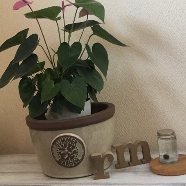 cotatuさんの実例写真