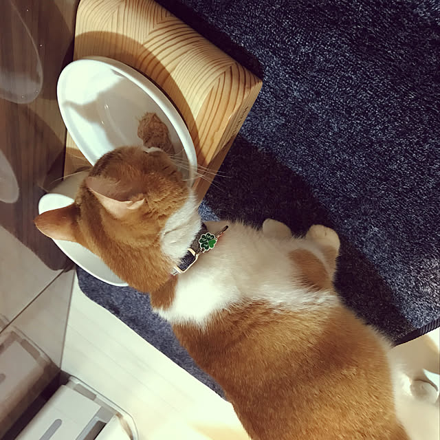 KotarouKunさんの実例写真