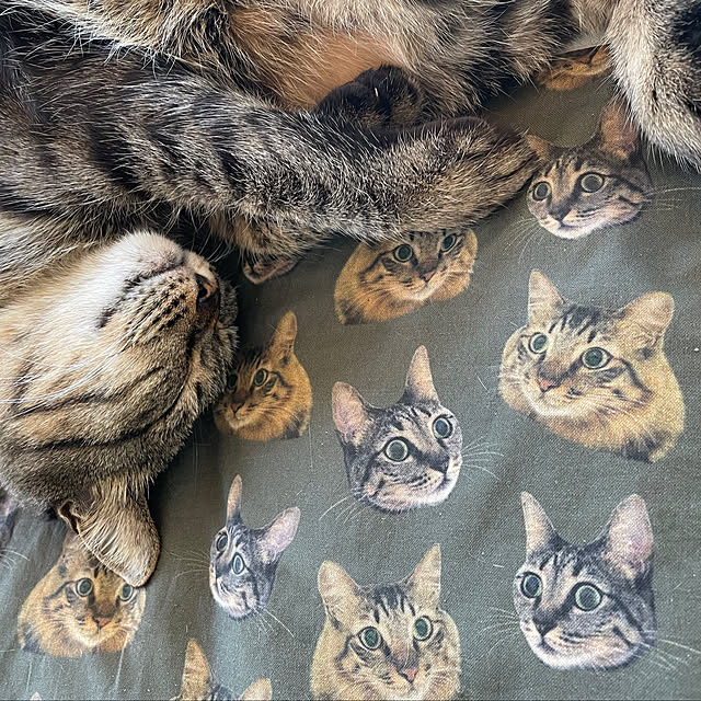 weさんの実例写真