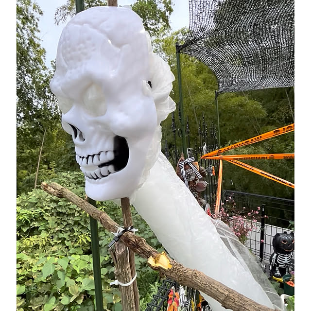 kittyさんの実例写真