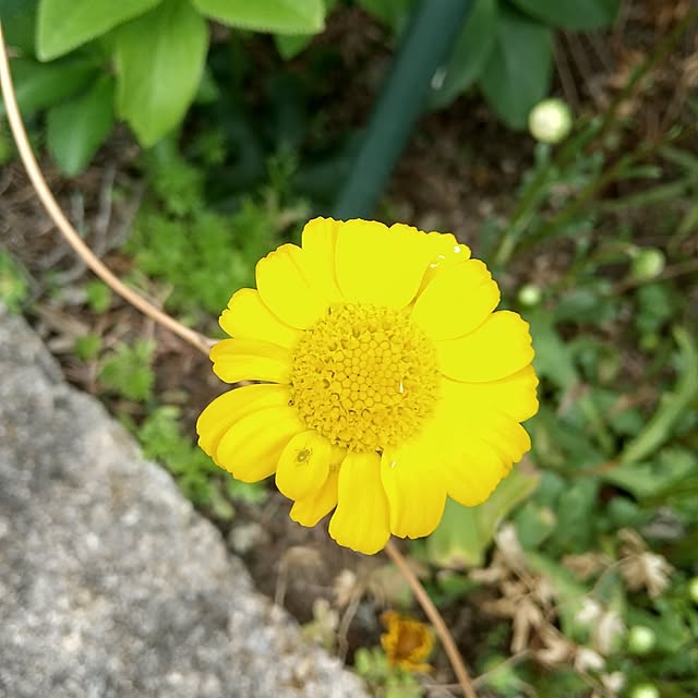 Rさんの部屋