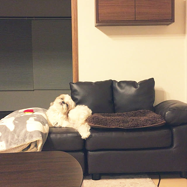 my_homeさんの実例写真