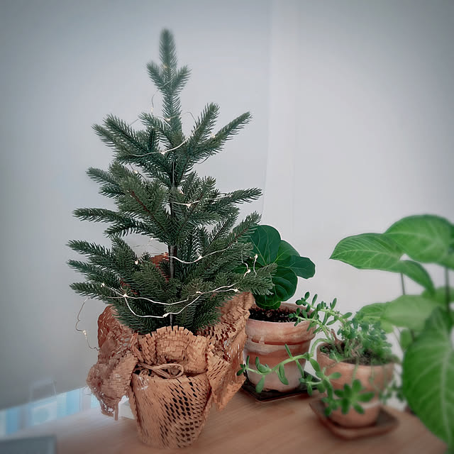 Ruriさんの部屋
