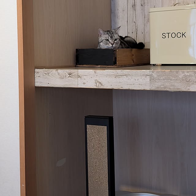 lovepeaceさんの部屋