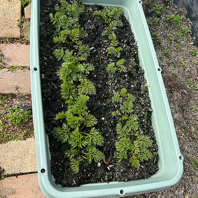 ritsukoさんの部屋