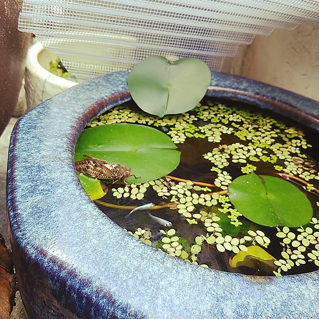 mocoさんの実例写真