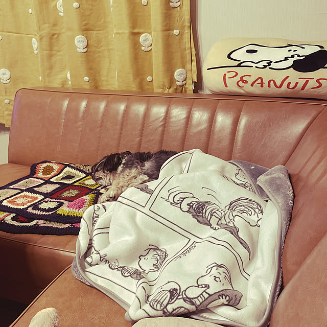 AcchanSaysさんの実例写真