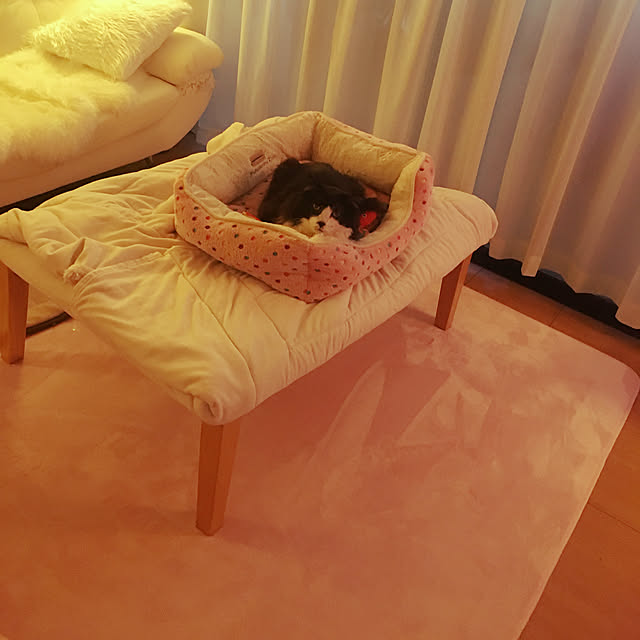 kanaさんの実例写真