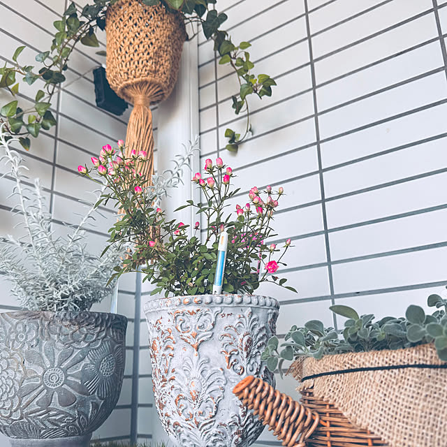 hamahamaさんの部屋