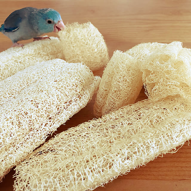 hiilinoさんの実例写真
