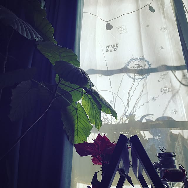 onokenkoさんの実例写真