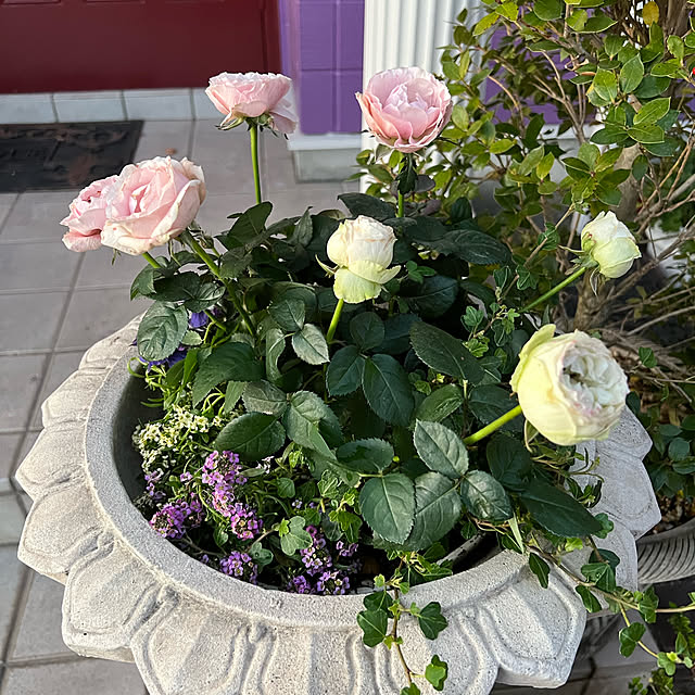 AYUKOさんの実例写真