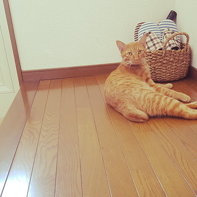 mi_iさんの実例写真