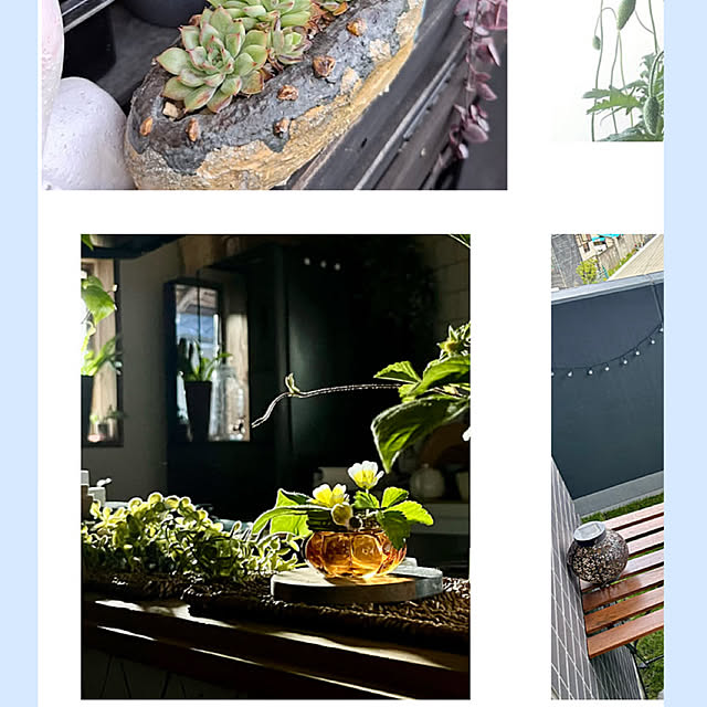 cotaさんの部屋