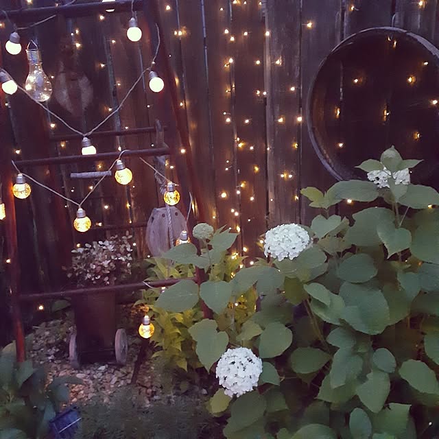hononoさんの部屋