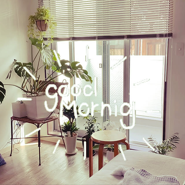 Hitomiさんの実例写真