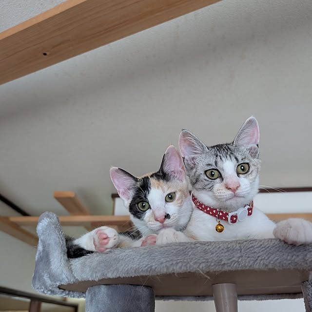 mill_0303さんの実例写真