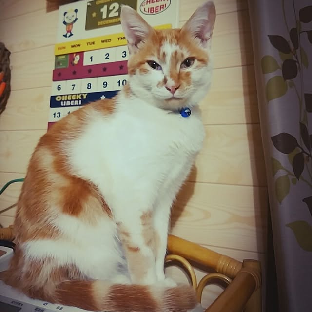 TUNさんの実例写真