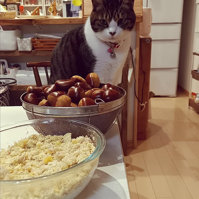 civicglさんの実例写真