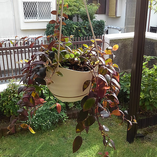 Renさんの実例写真