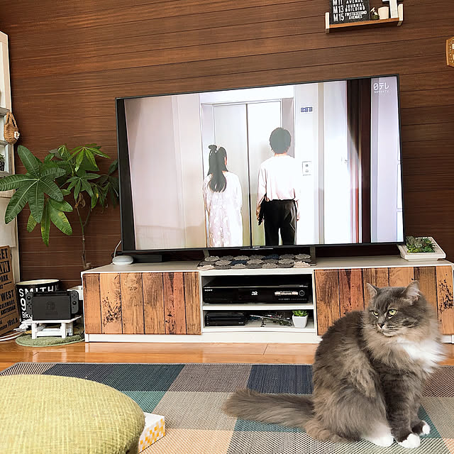 mii-tanさんの実例写真