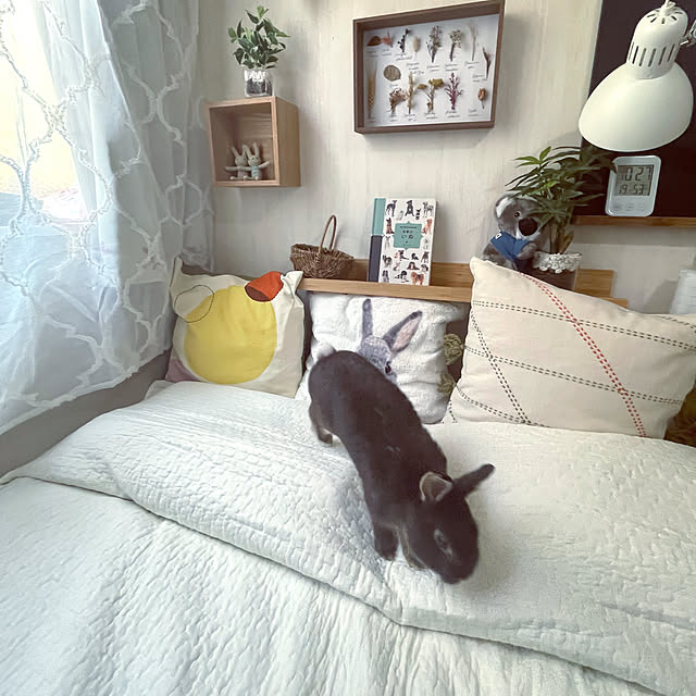 mo-nosukeさんの実例写真