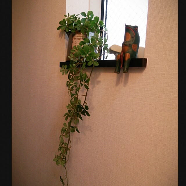 haluさんの実例写真