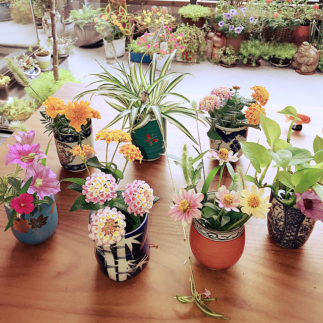 fuyiqian1026さんの実例写真