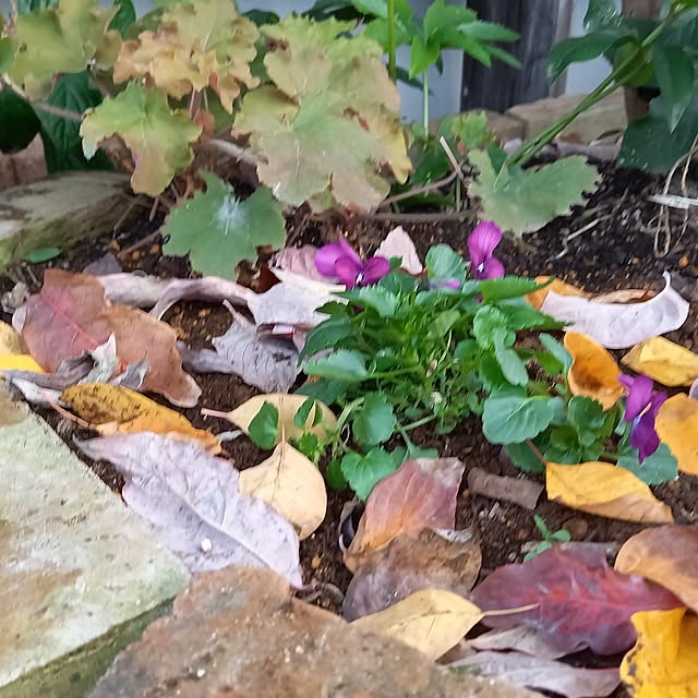 civicglさんの部屋