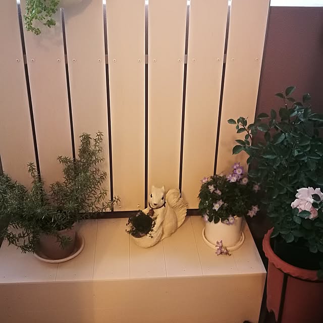 kotoさんの実例写真
