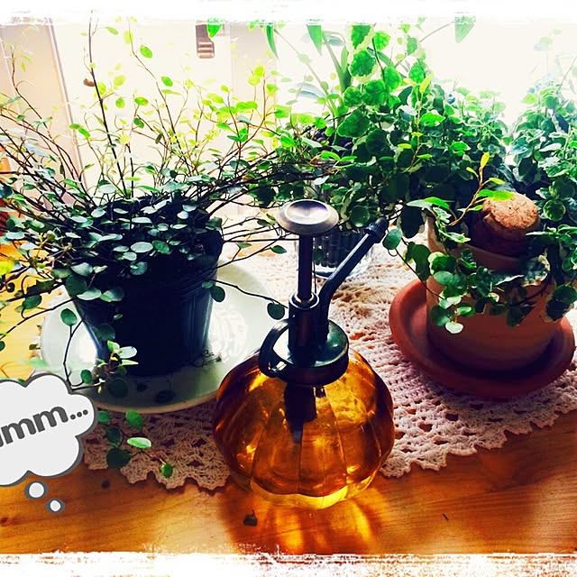 机/100均/アンティーク/観葉植物/カフェ風...などのインテリア実例 - 2016-05-20 07:37:22