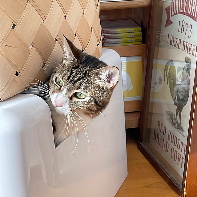 nobikoさんの部屋