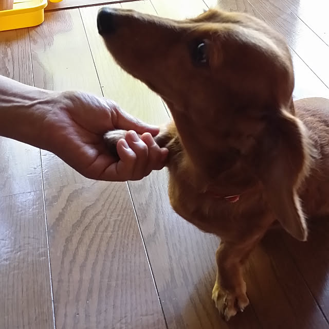paulandjoeさんの実例写真