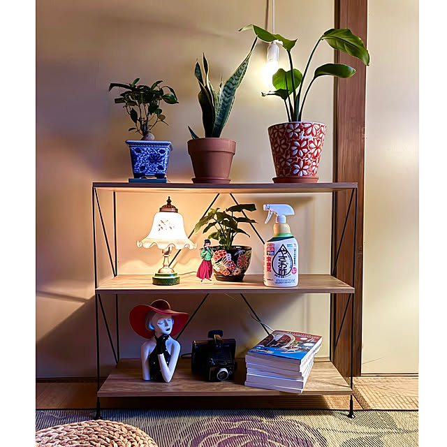 Fleur_さんの実例写真